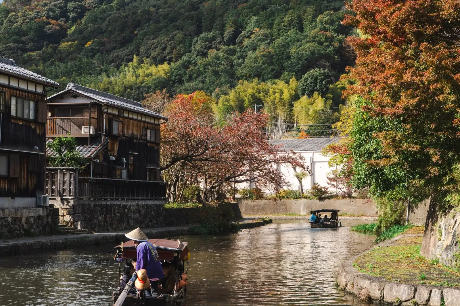 滋賀・近江八幡の水郷と町並み(イメージ)